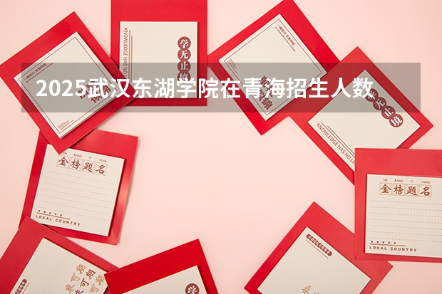 2025武汉东湖学院在青海招生人数计划预测
