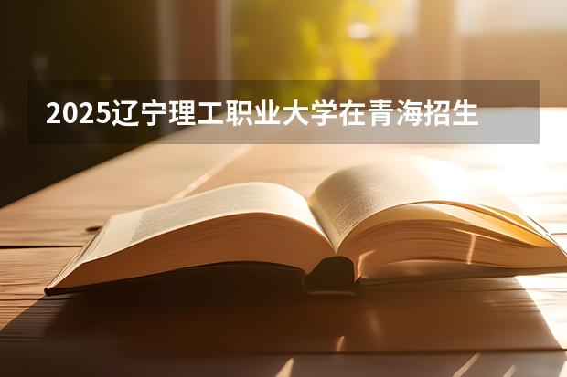 2025辽宁理工职业大学在青海招生人数计划预测