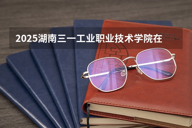 2025湖南三一工业职业技术学院在青海招生人数计划预测