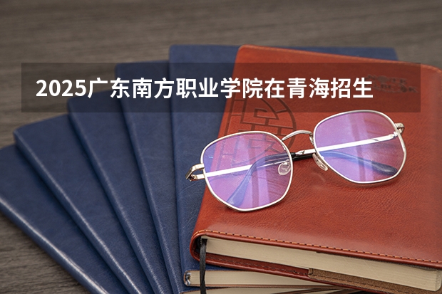 2025广东南方职业学院在青海招生人数计划预测