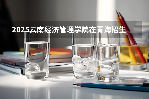 2025云南经济管理学院在青海招生人数计划预测