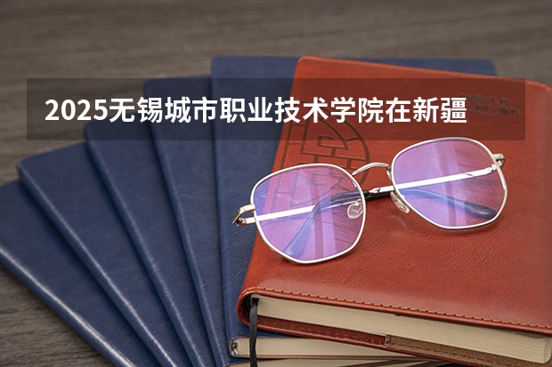 2025无锡城市职业技术学院在新疆招生人数计划预测