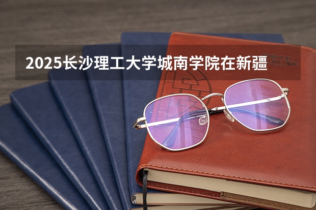 2025长沙理工大学城南学院在新疆招生人数计划预测