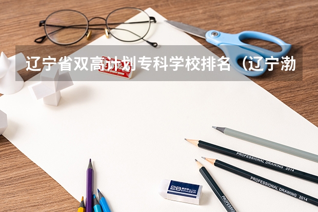辽宁省双高计划专科学校排名（辽宁渤海大学全国排名）